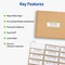 Avery Printable Address Labels, 1" x 2-5/8", Matte White with Metallic Gold Borders, Permanent, Laser & Inkjet Compatible, 300 Blank Mailing Labels (6507)
